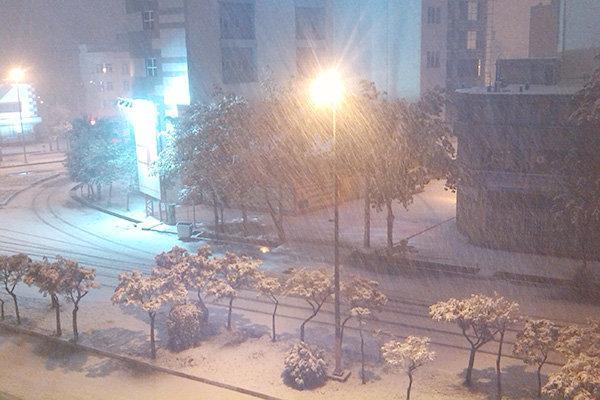 بارش اولین برف پاییزی شهر اردبیل را سفیدپوش کرد