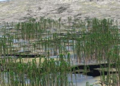 کهن ترین جنگل آسیا کشف شد