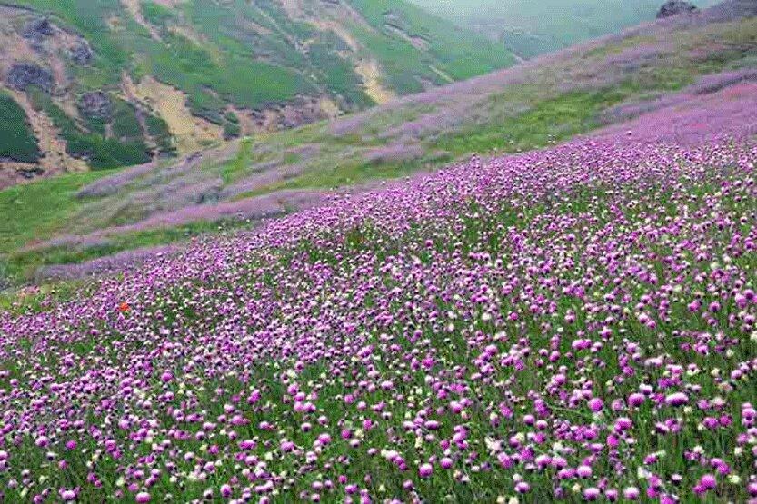 افت 10 درجه ای دما در اردبیل و خراسان شمالی افت 10 درجه ای دما در اردبیل و خراسان شمالی