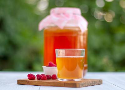 نوشیدن روزانه چای کامبوچا، تضمین سلامتی برای شما