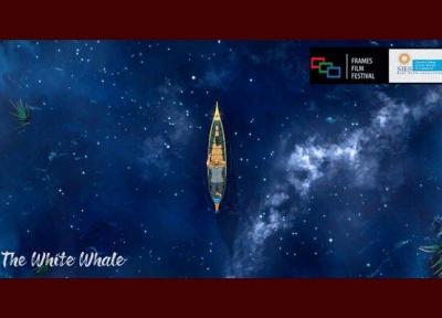 حضور نهنگ سفید ایرانی در جشنواره هند خبرنگاران